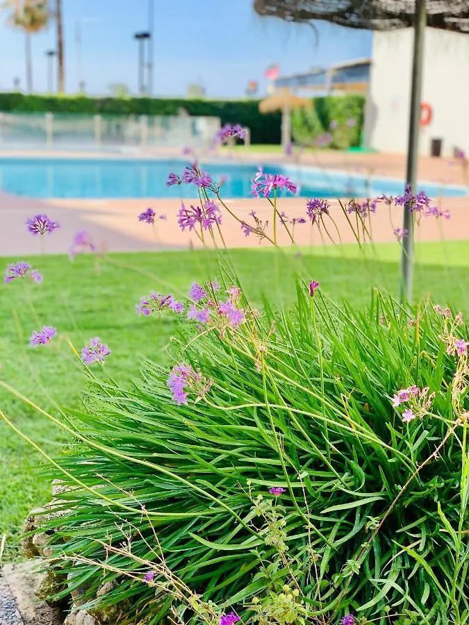 Sun&Life Girolamar Apartment Fuengirola 0*,